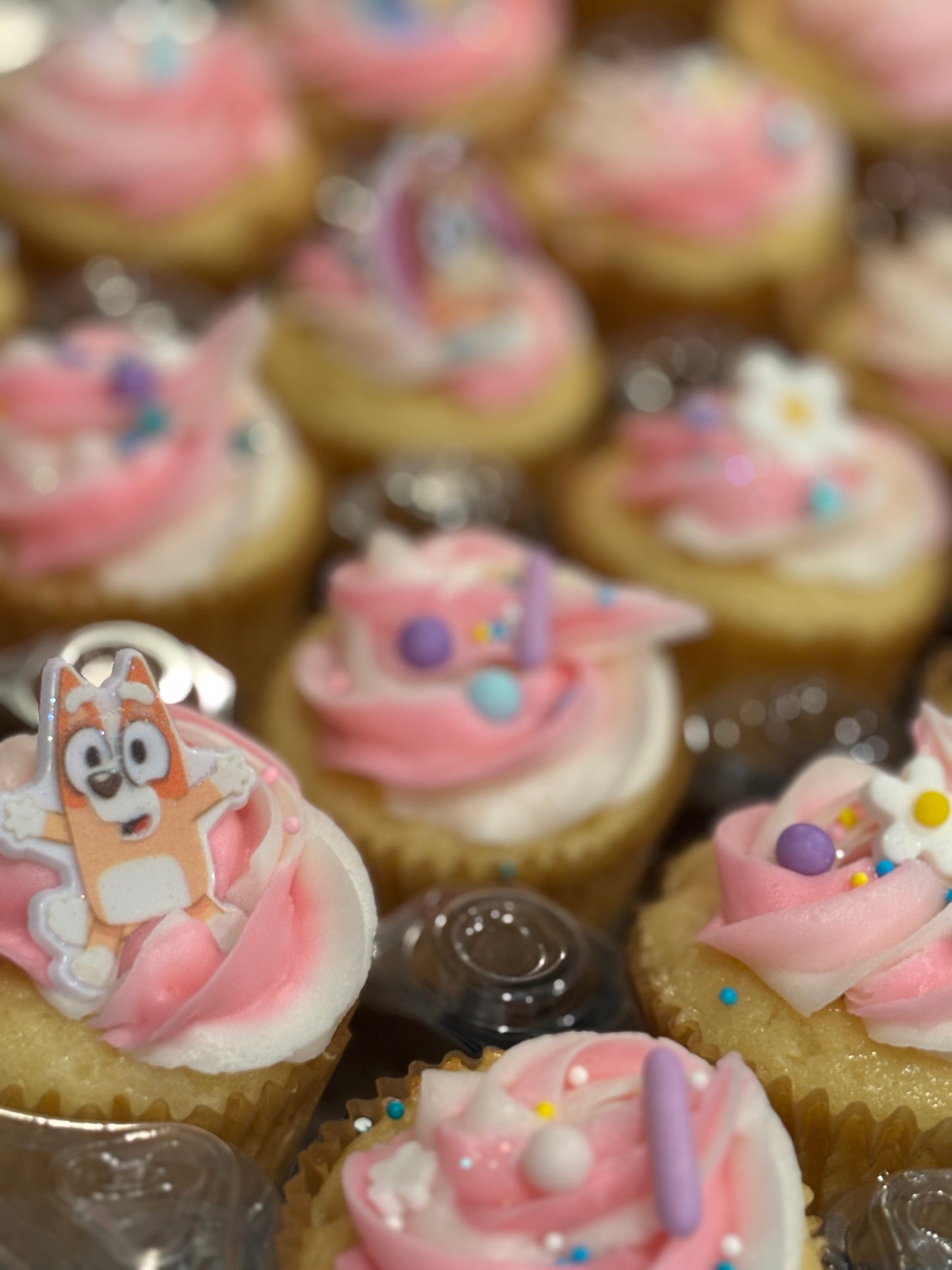 Cupcakes 🧁